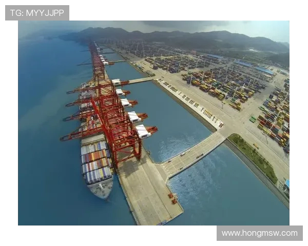 上海海港奋力打造国际一流现代化港口枢纽引领长三角高质量发展